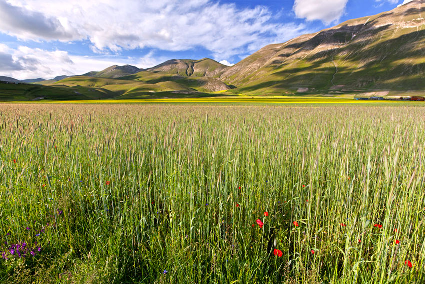 Castelluccio