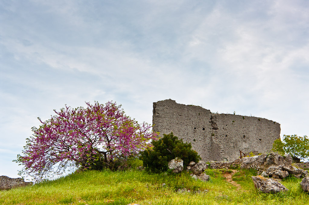 Colonia Romana di Cosa 273 a.c.