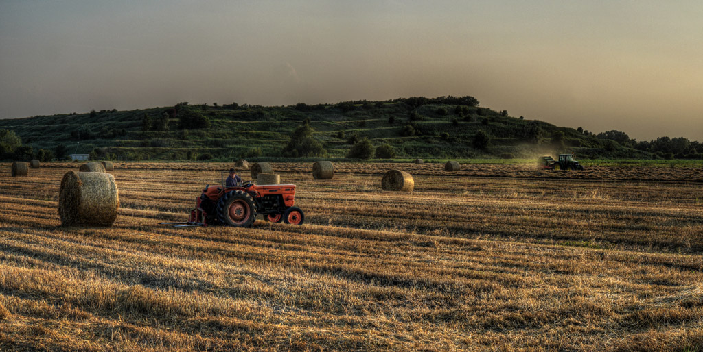 La genesi della paglia.