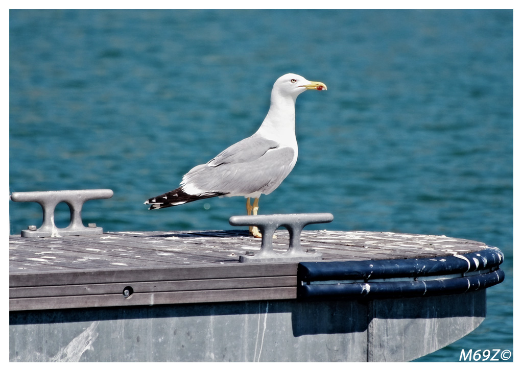 il mio profilo pi� bello