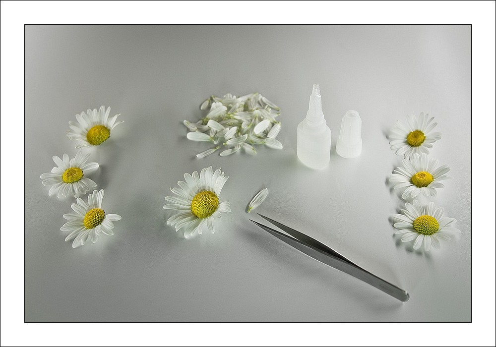 Laboratorio Manutenzione e Riparazione Fiori