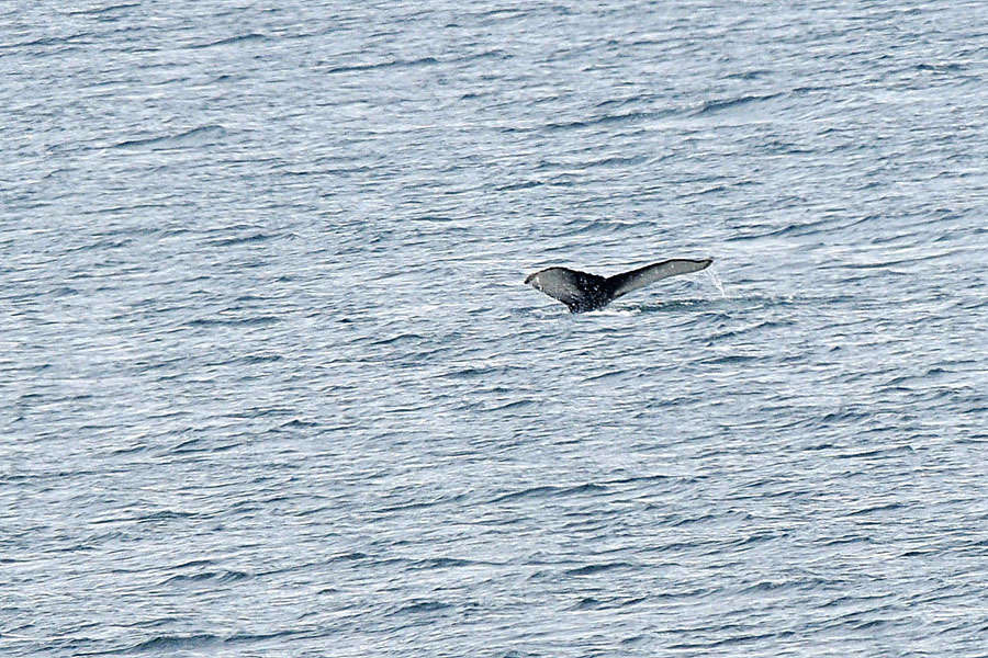 laggiu' nel fiordo..