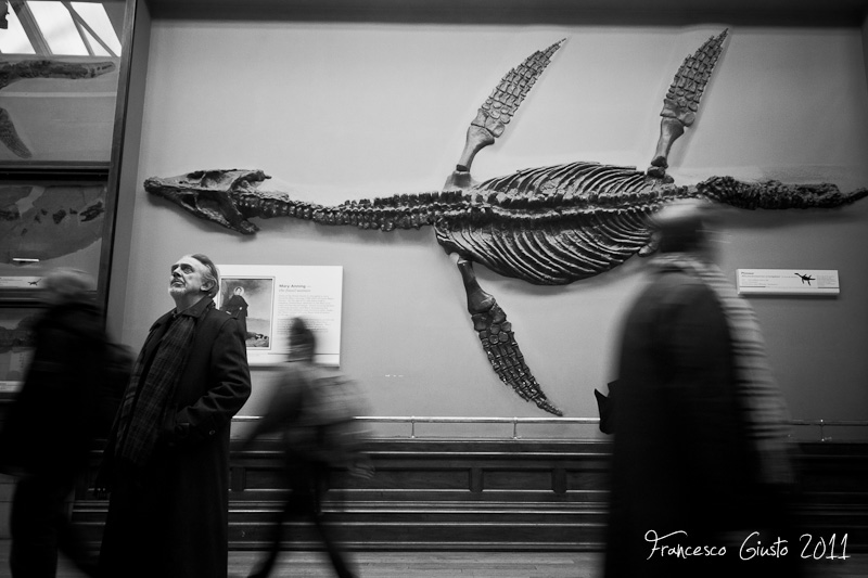 Definisci Evoluzione - parte 2