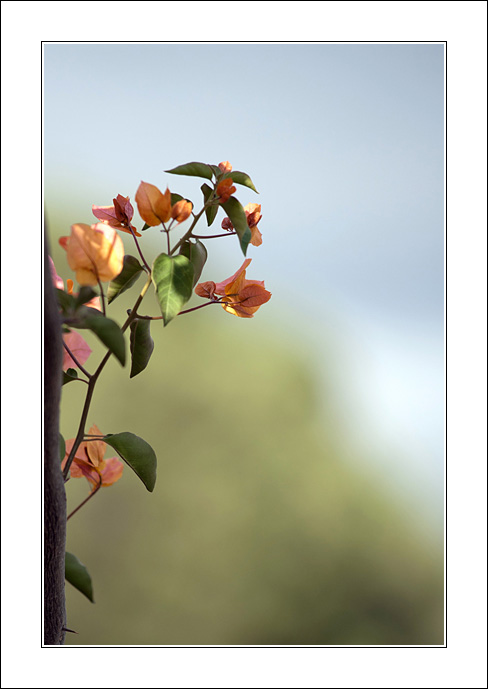 Qualche carezza di luce