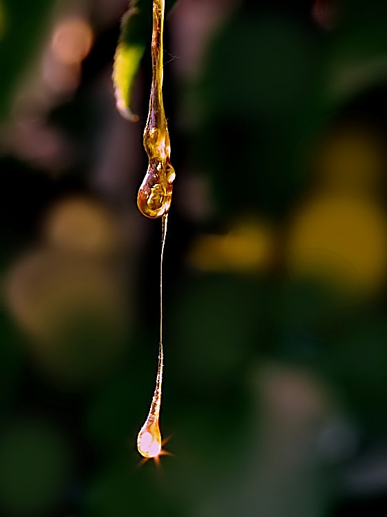 Lampadina....accesa!!!