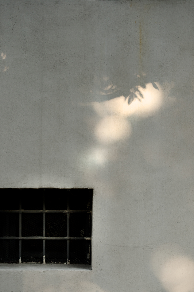 pensieri di libert�