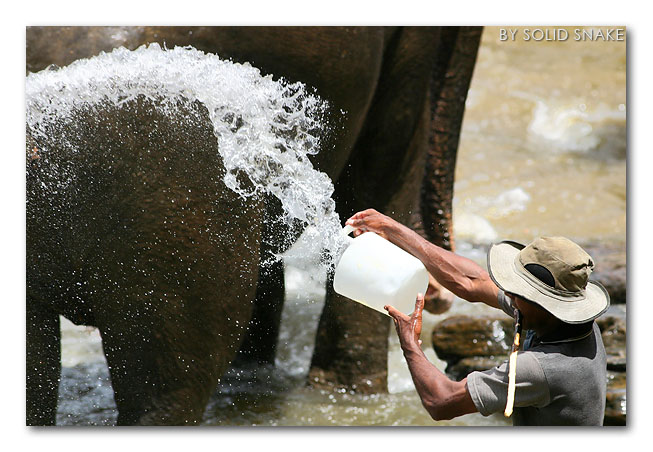 ...� l'ora del bagnetto!!!