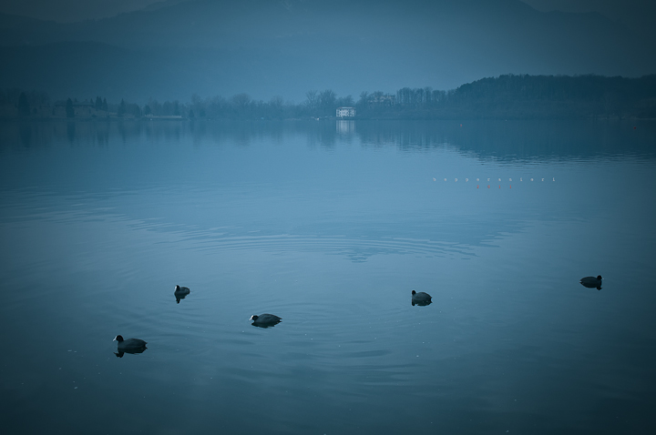 Lakescape #1