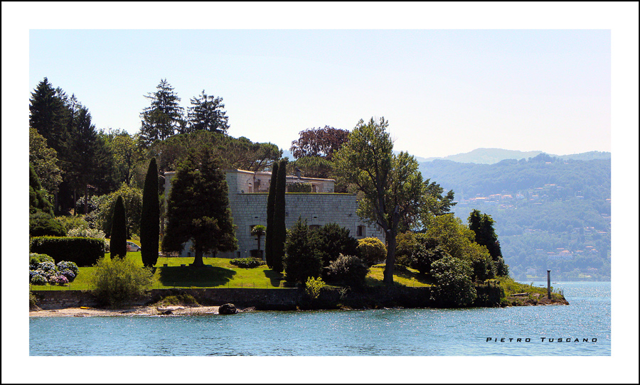 Cipressi sulle rive del lago