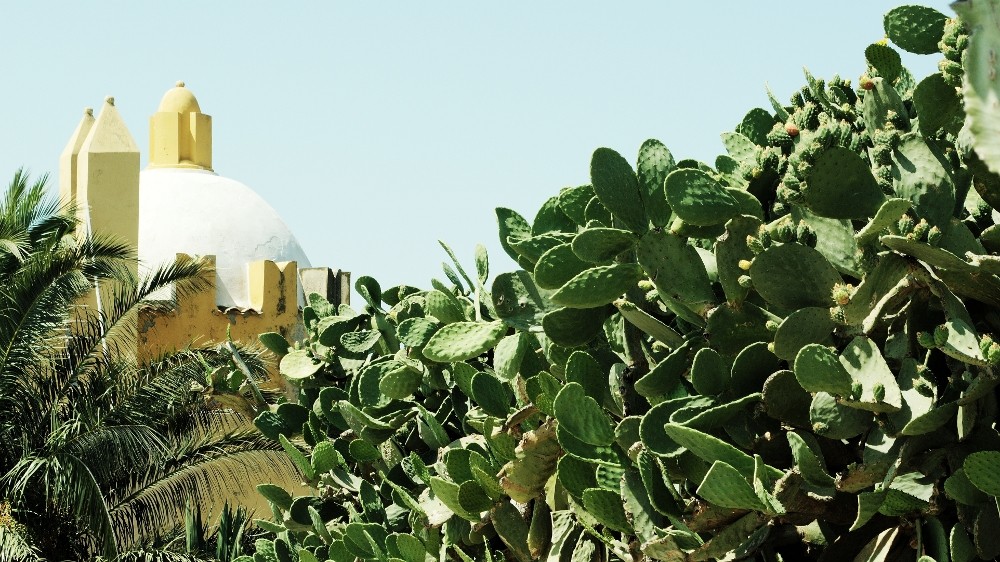 United Colors Of Sicily