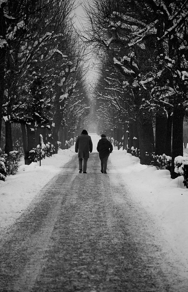 Il viale del non Tramonto