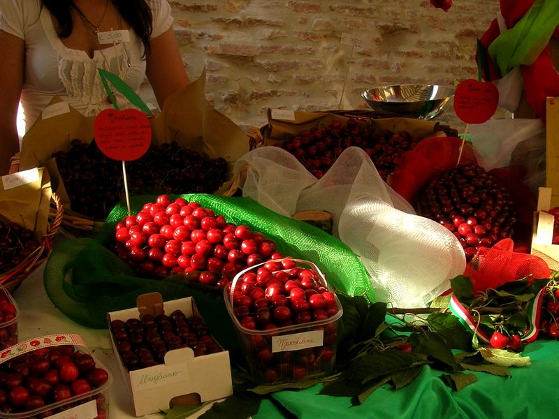 Sagra della Ciliegia (Lari)