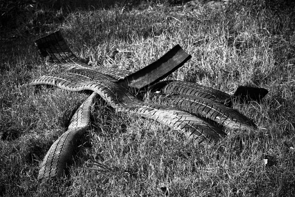 Del passaggio dell'uomo...