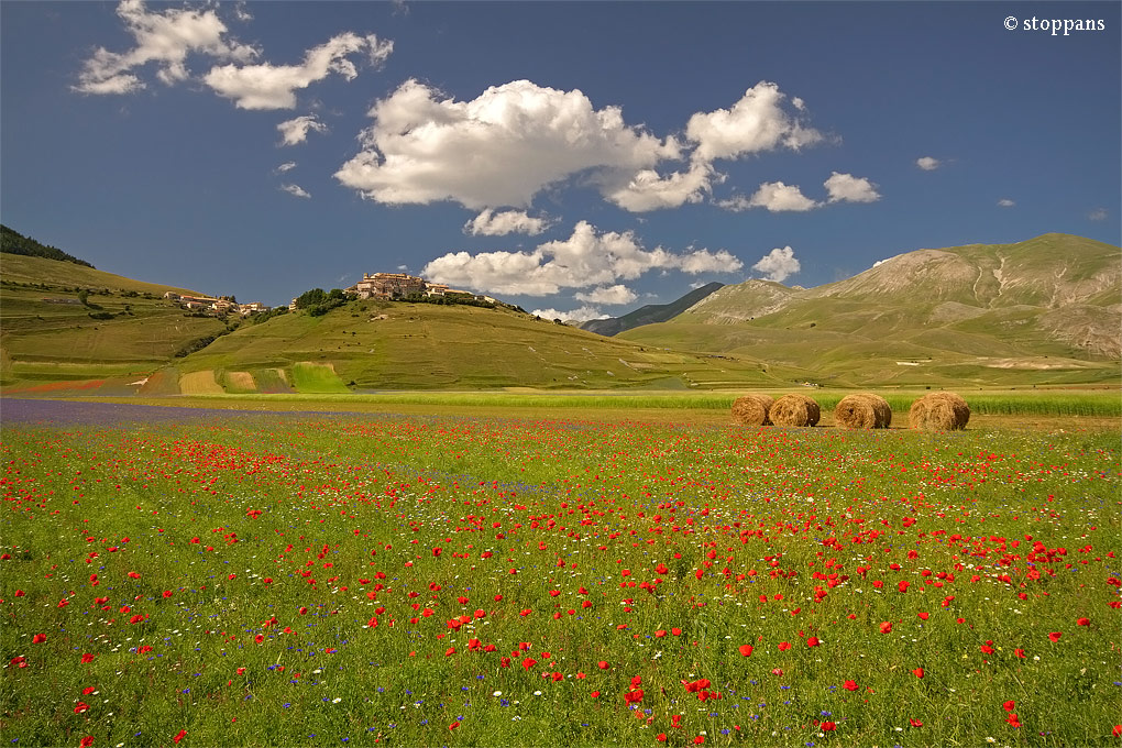 Castelluccio Norcia 1