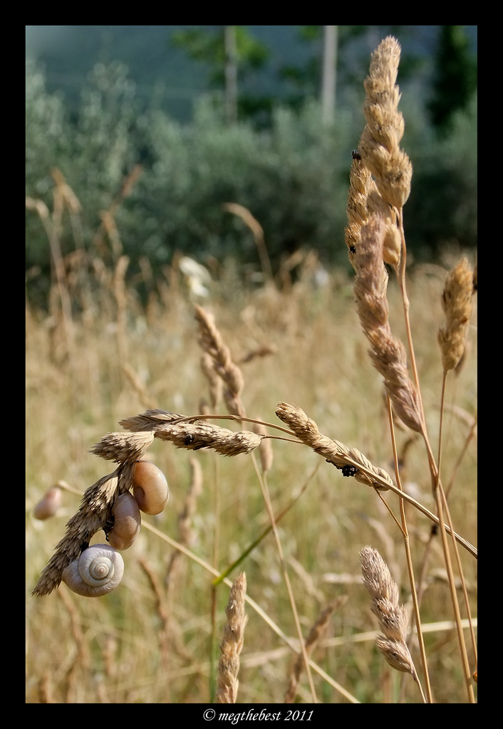 aggrappate..non mollano