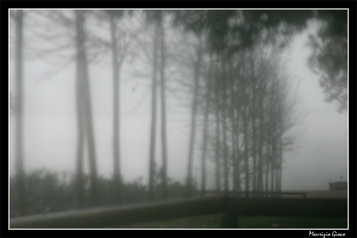 Nebbia