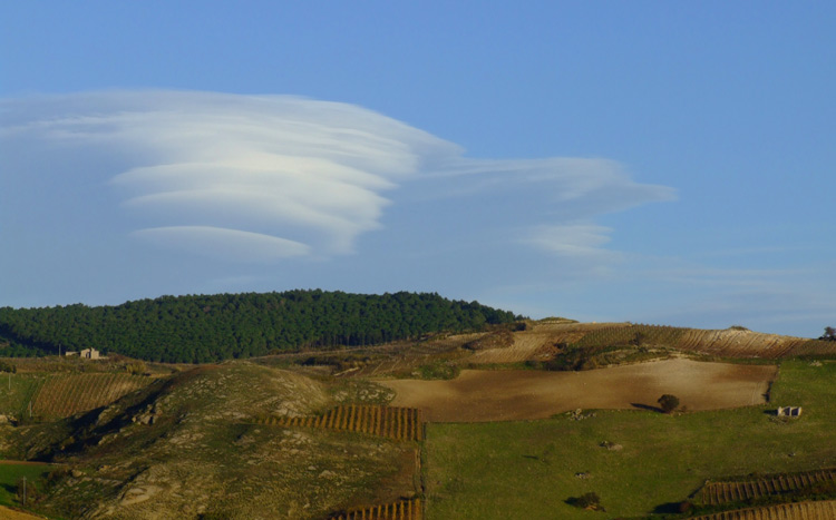 Pennellate di bianco