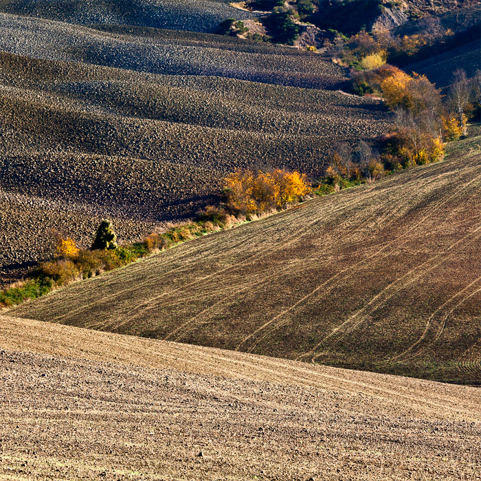 Terre di Siena