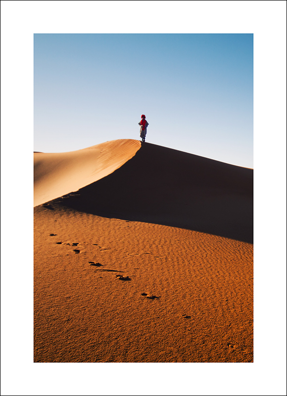 il padrone delle dune