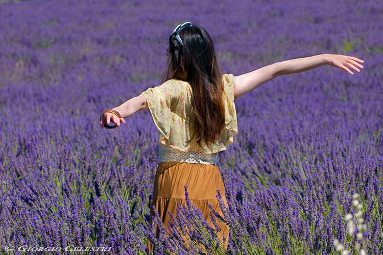 L'aria carica di profumo