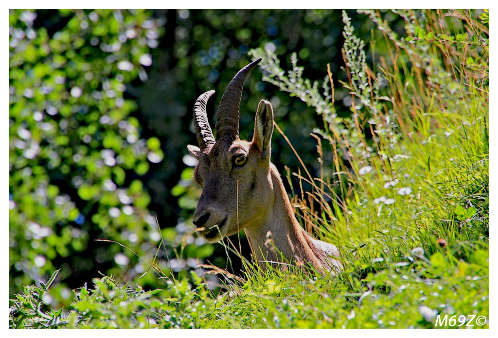 guardiamo se c'� qualcuno...