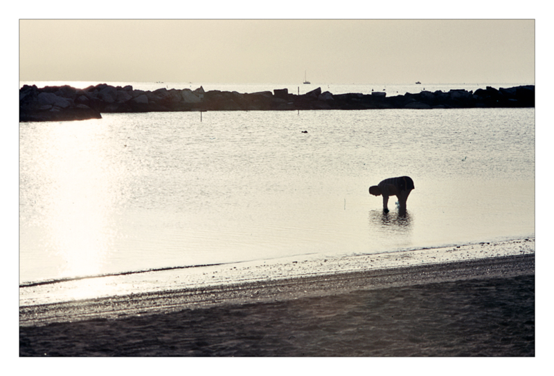 Colori essenziali in controluce