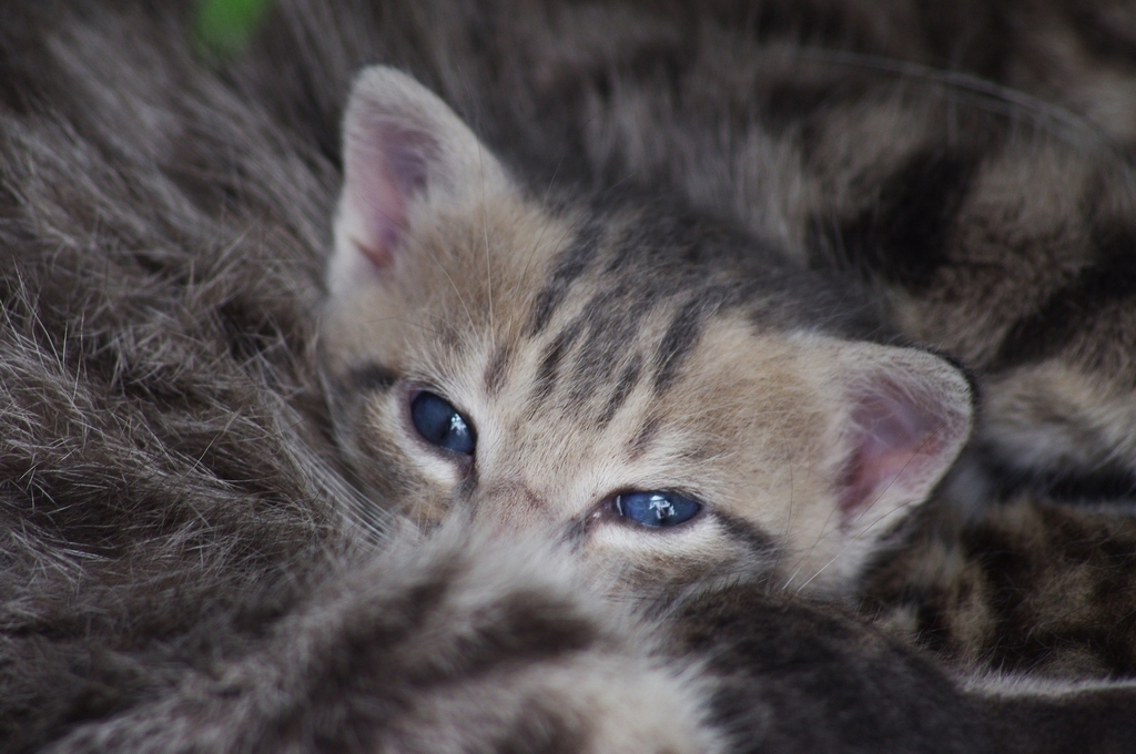 Mi hai svegliatoooo!!!!