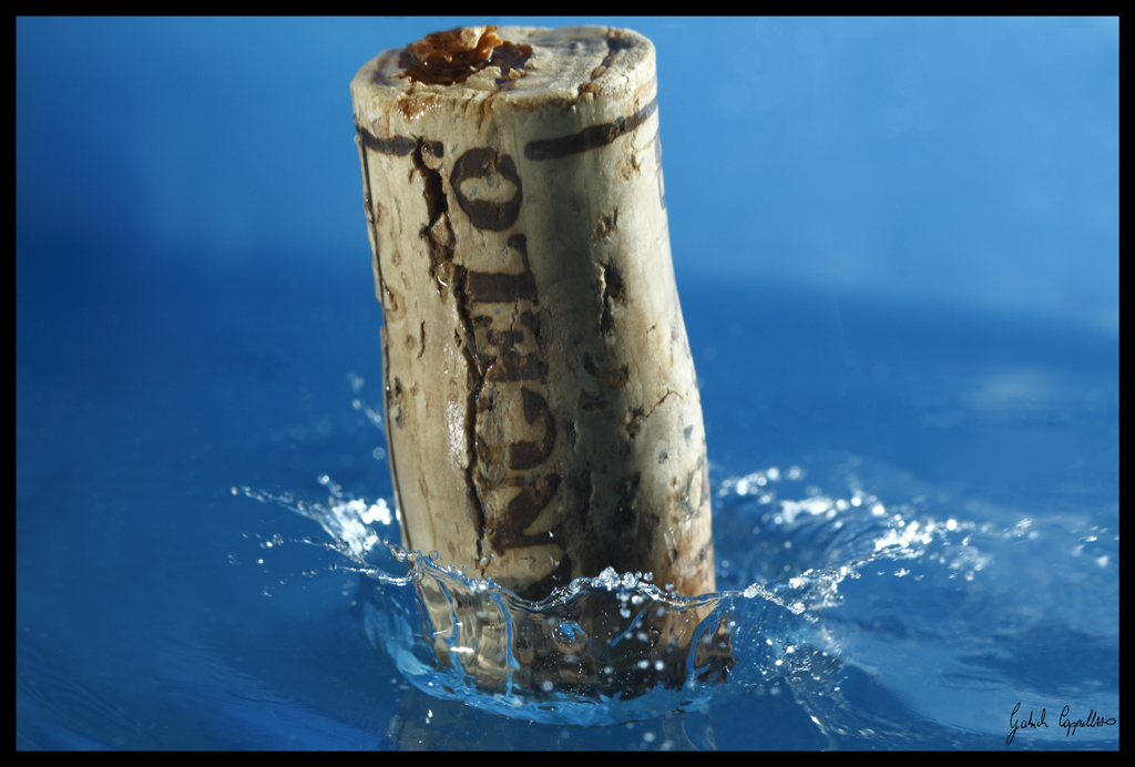 un angelo blu che se fischio torna gi�