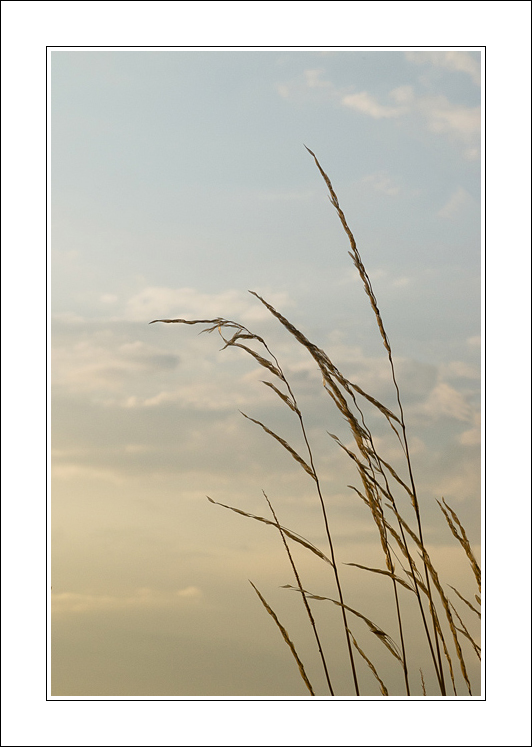 Basta un alito di vento...