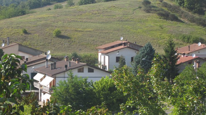 Radici nella natura2