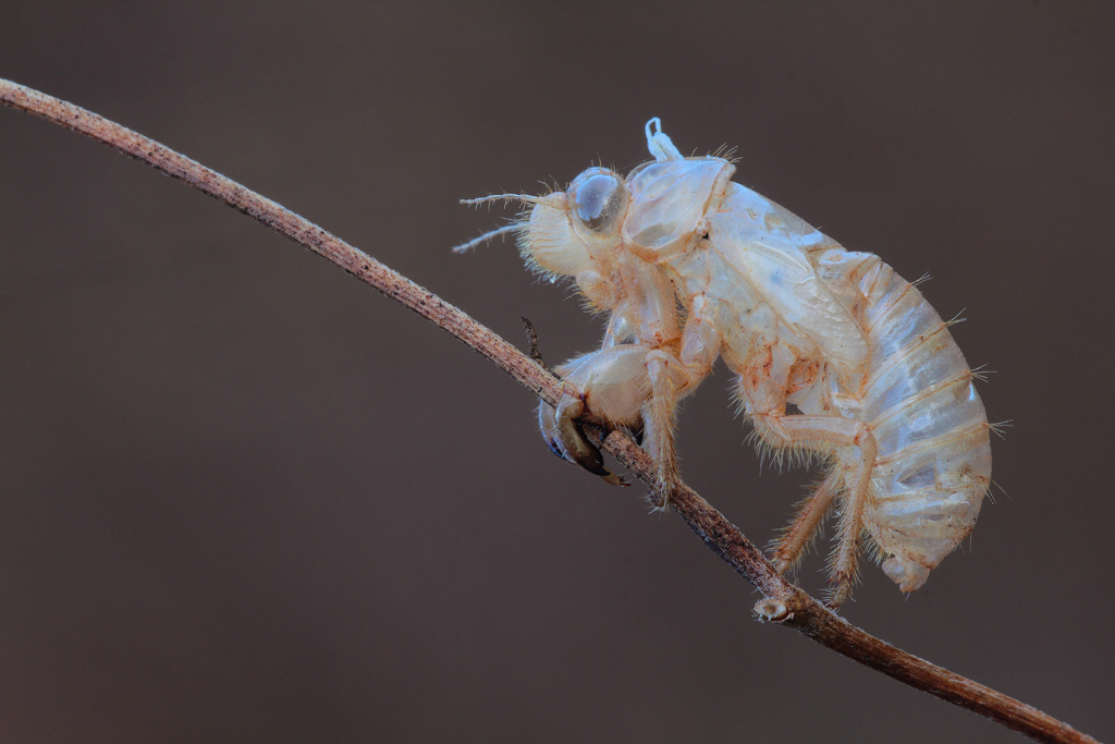 ...Vuoto A perdere...!!!