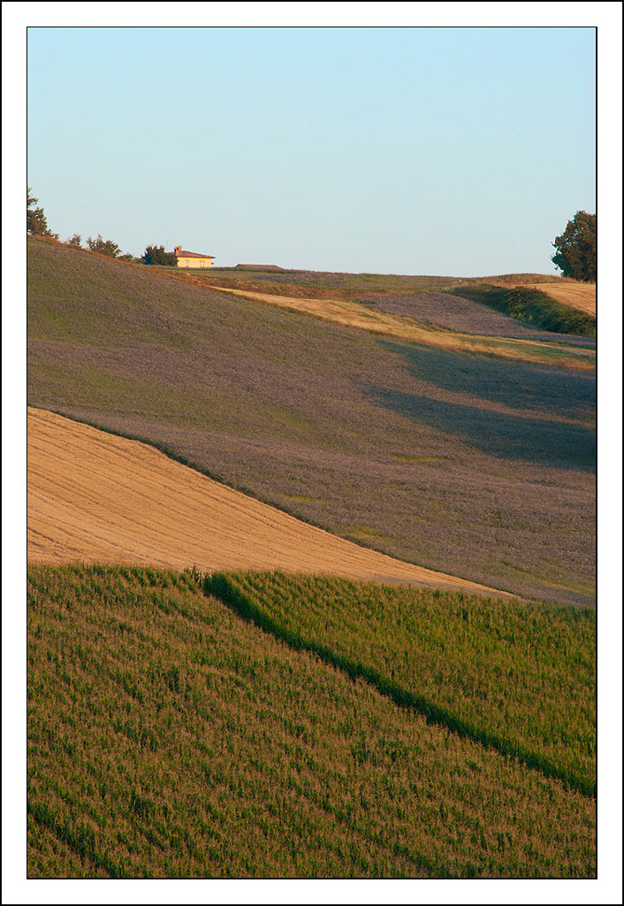 La luce calda della sera...