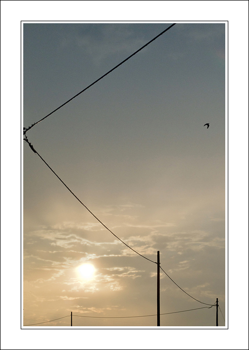 Quella luce...davanti a me.