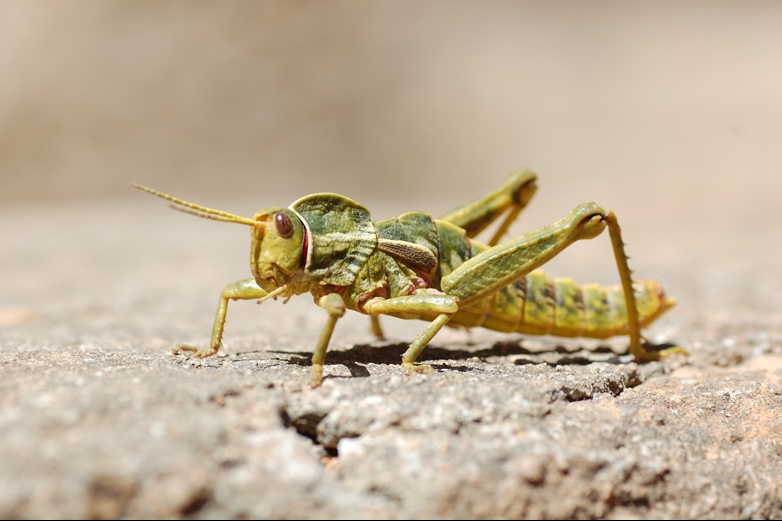 Ti sto guardando....