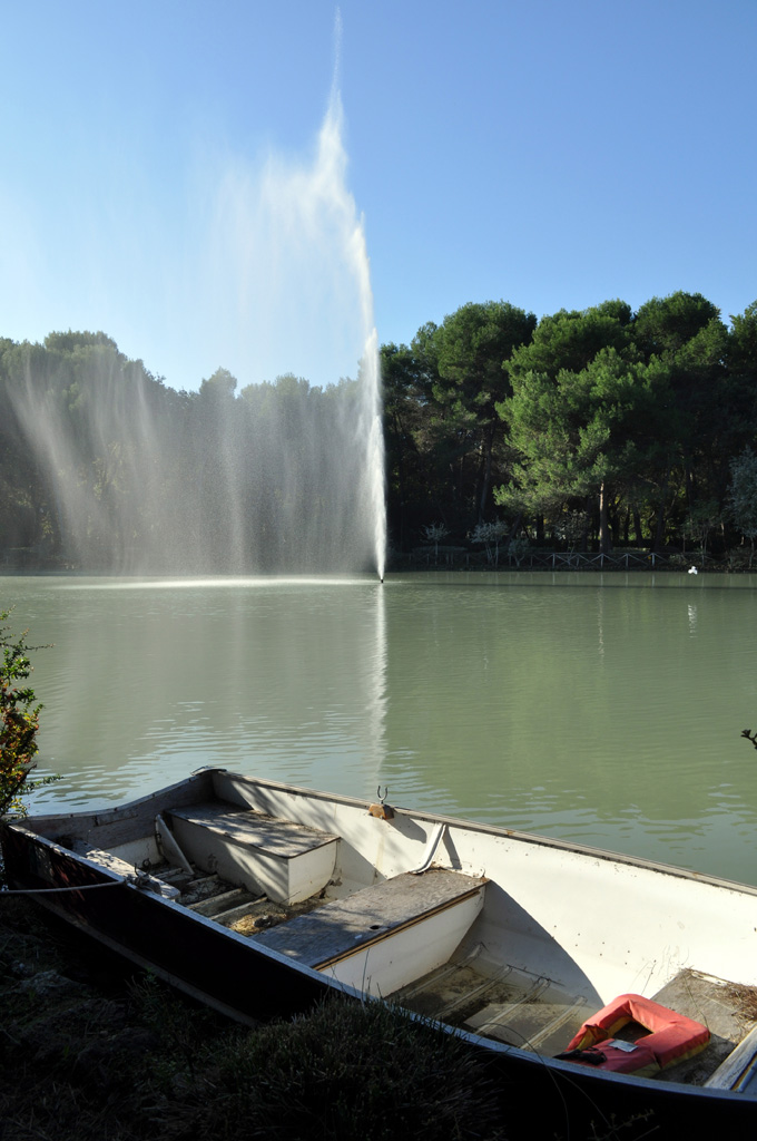 una piccola barca nella pineta