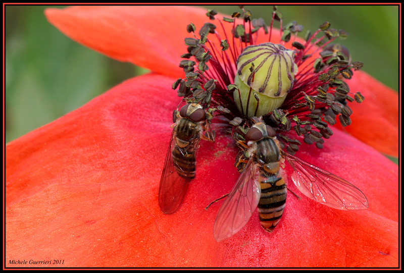 unica foto utile della mattina :(