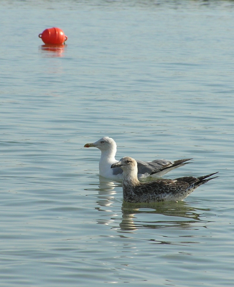 Io, lei, la boa.... e l'intruso!