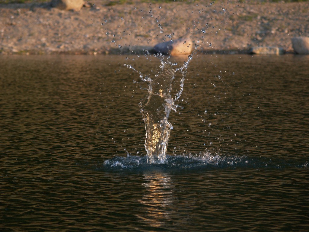 Scultura d'acqua al tramonto