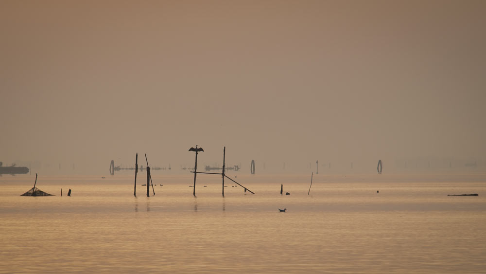 L'alba di un bel giorno!
