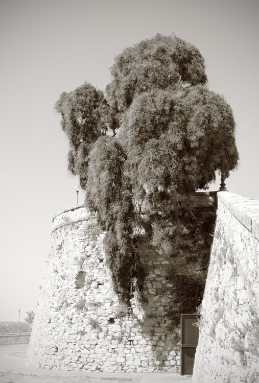 Visioni nella calura