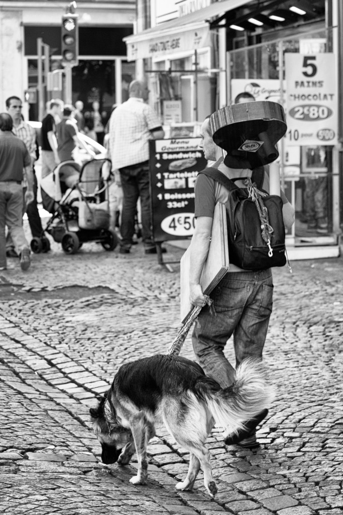 Un cane e una chitarra...