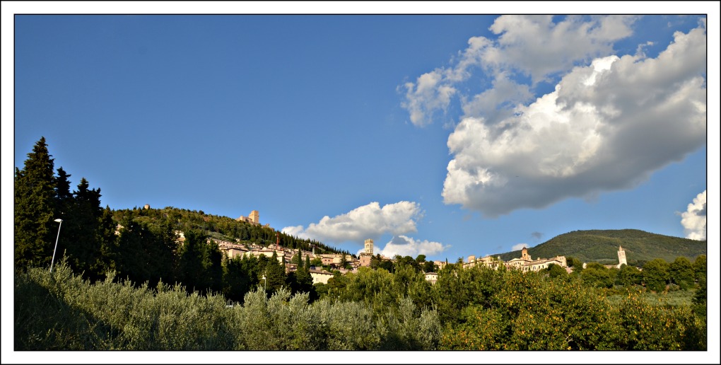 assisi