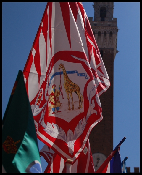 l'anno della giraffa (calendario senese)