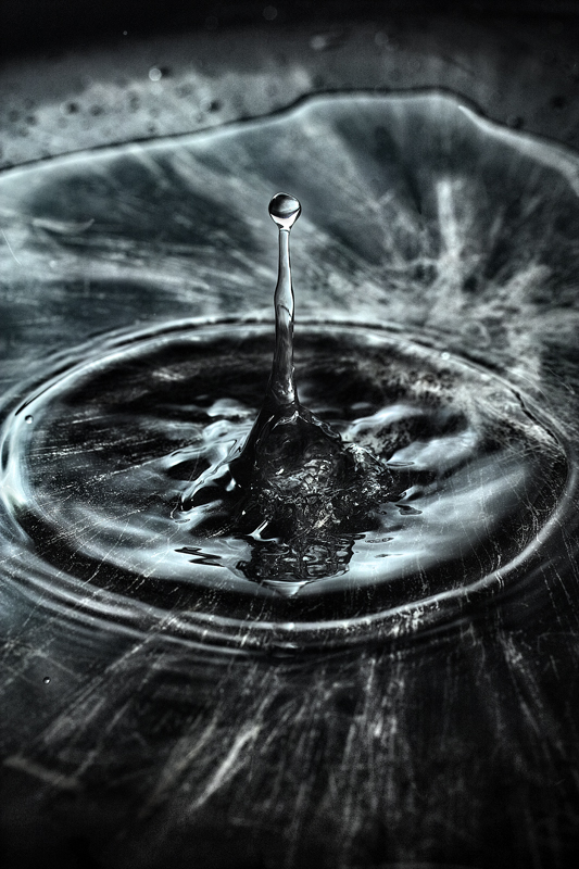 Goccia in alto contrasto