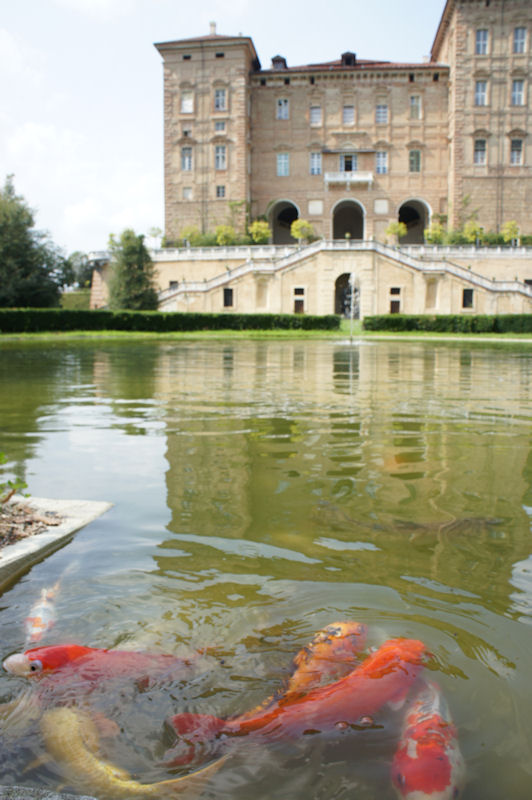 Agli� (TO) Il castello