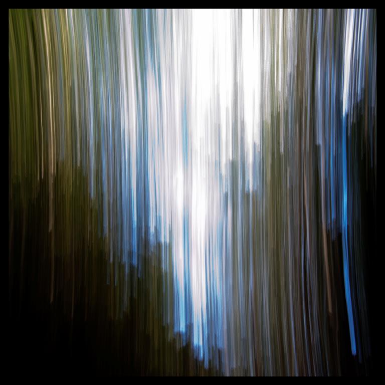 psychedelic wood