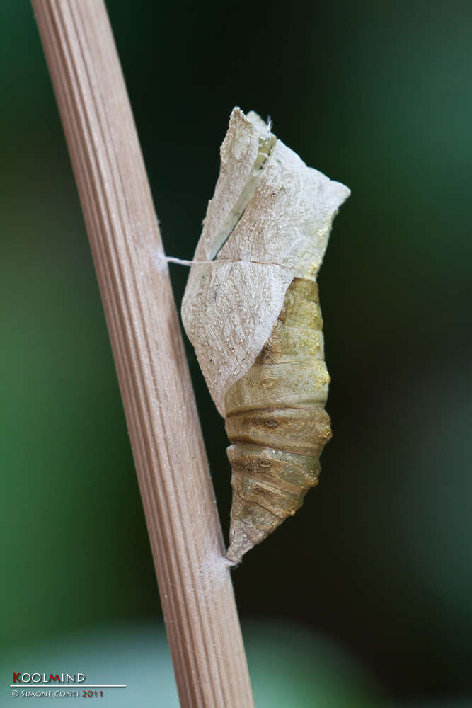 Quello che resta (prove del 180)