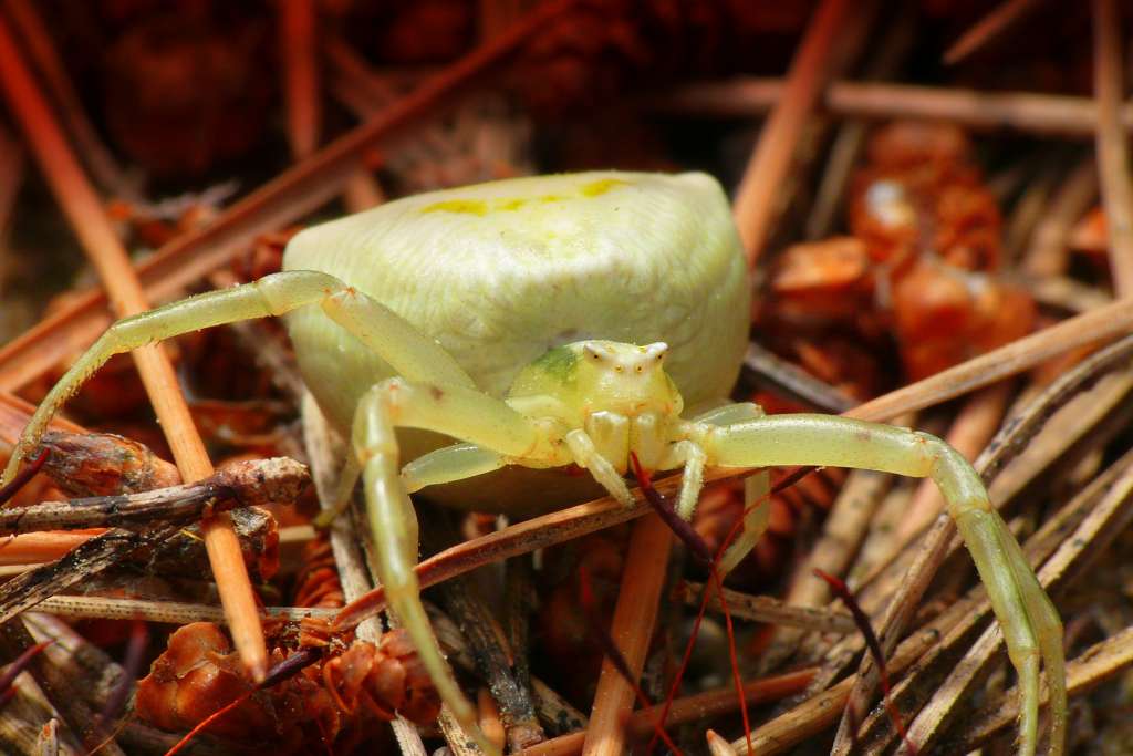 poco rassicurante............