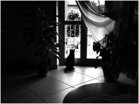 Desiderio di libert�