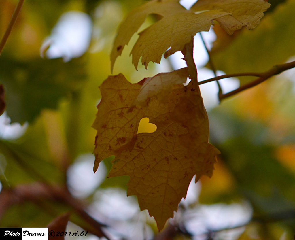 Ho a cuore la NATURA!